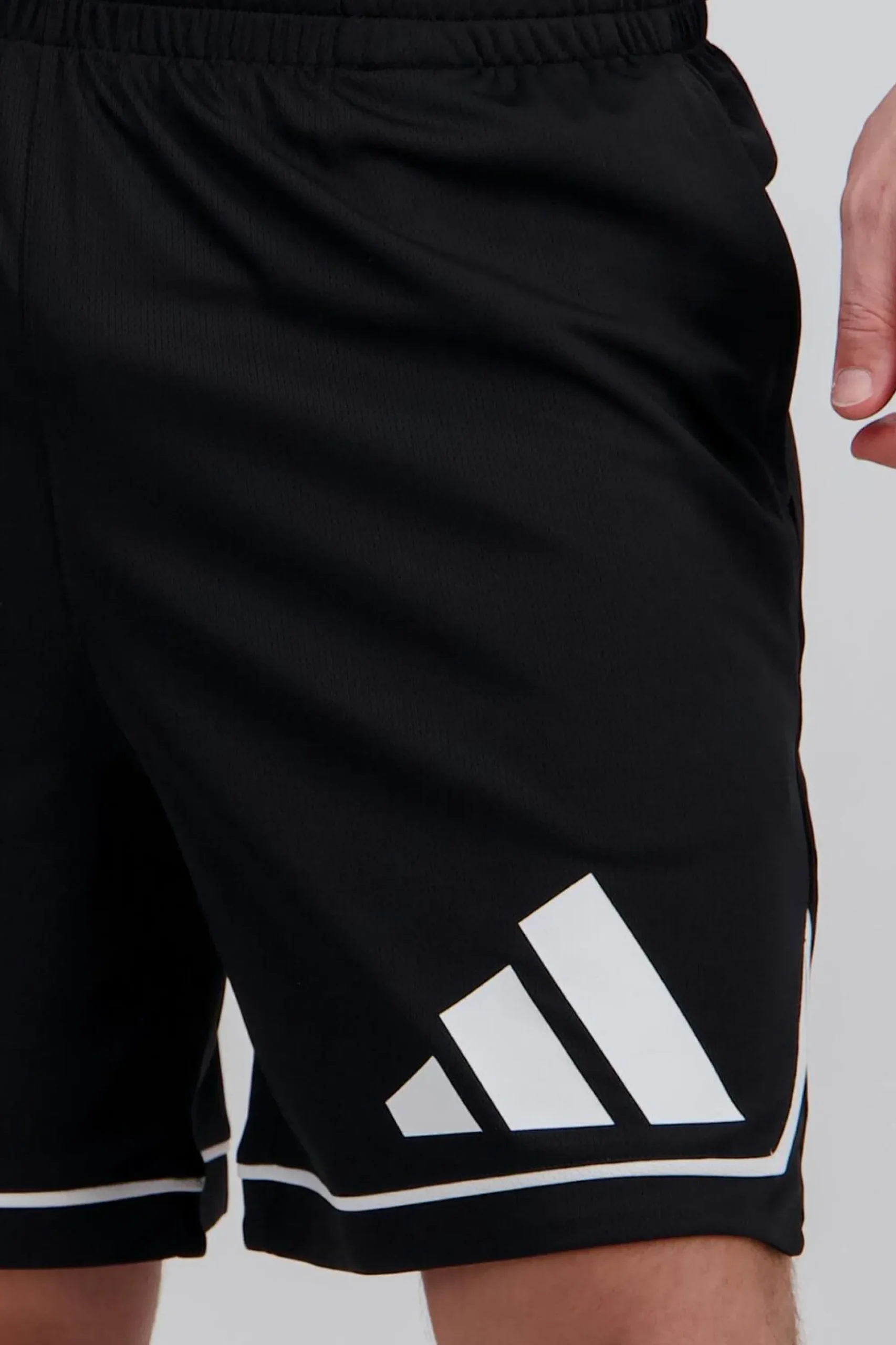 adidas Badge Of port Cetic