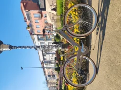Cicli Adriatica Adriatica City Retro Nut