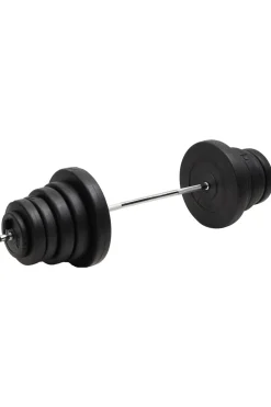 Vidaxl Barra Com Disco 2.5x140 CM