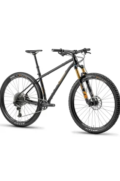 Niner Biciceta ontanha ir