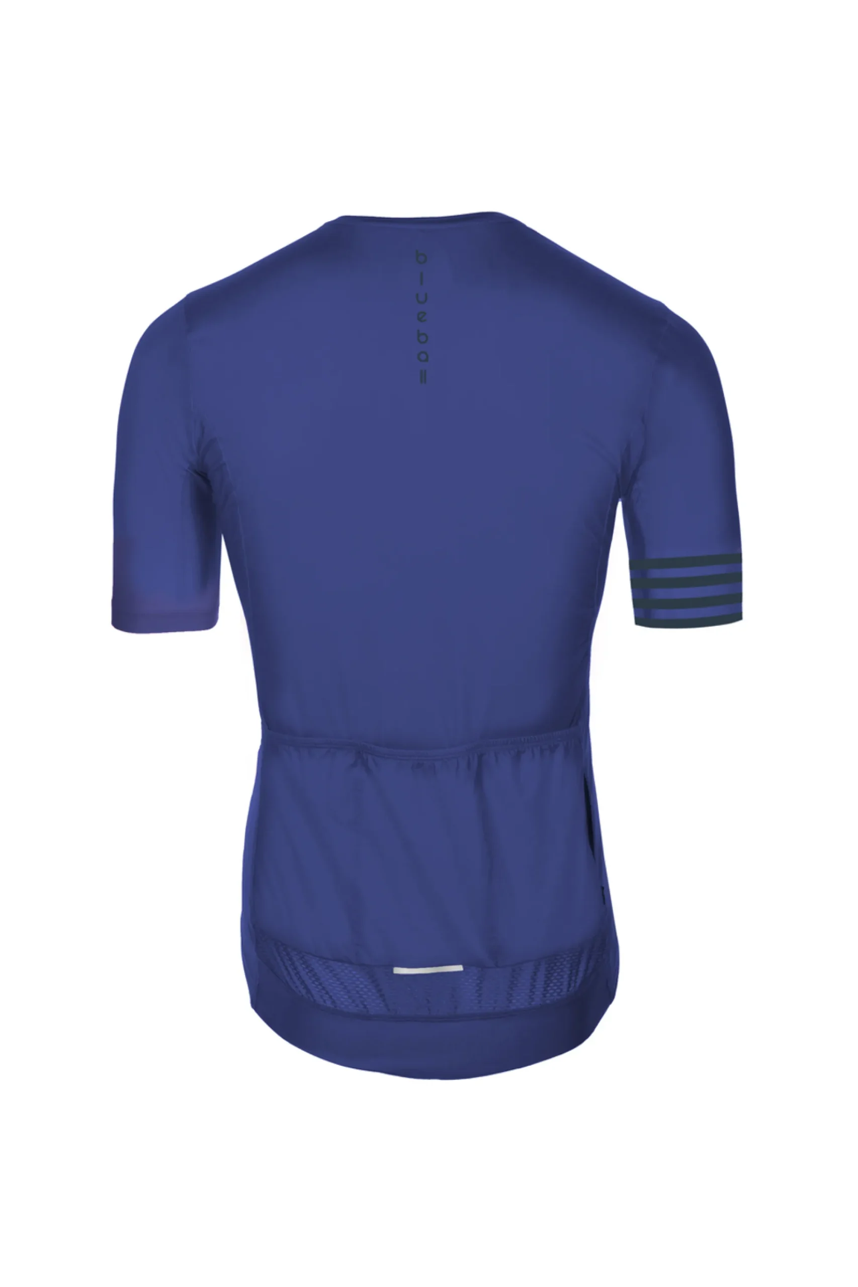 Blue Ball Sport Rider
