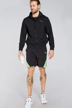 Puma Caçõe