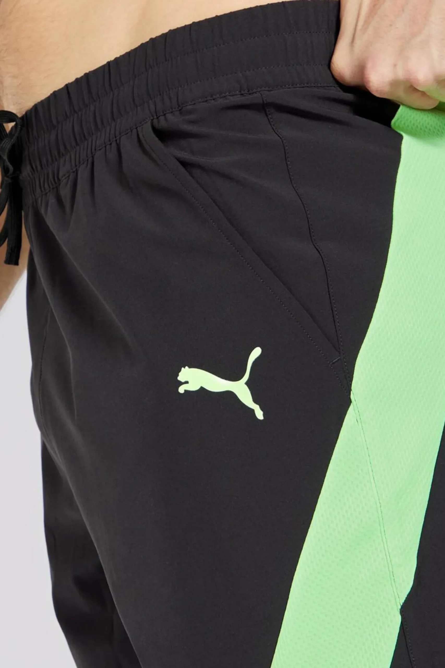 Puma Caçõe