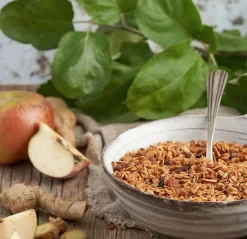 La Newyorkina Granola Maçã E Gengibre 275gr
