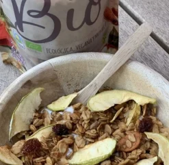 La Newyorkina Granola Maçã E Gengibre 275gr