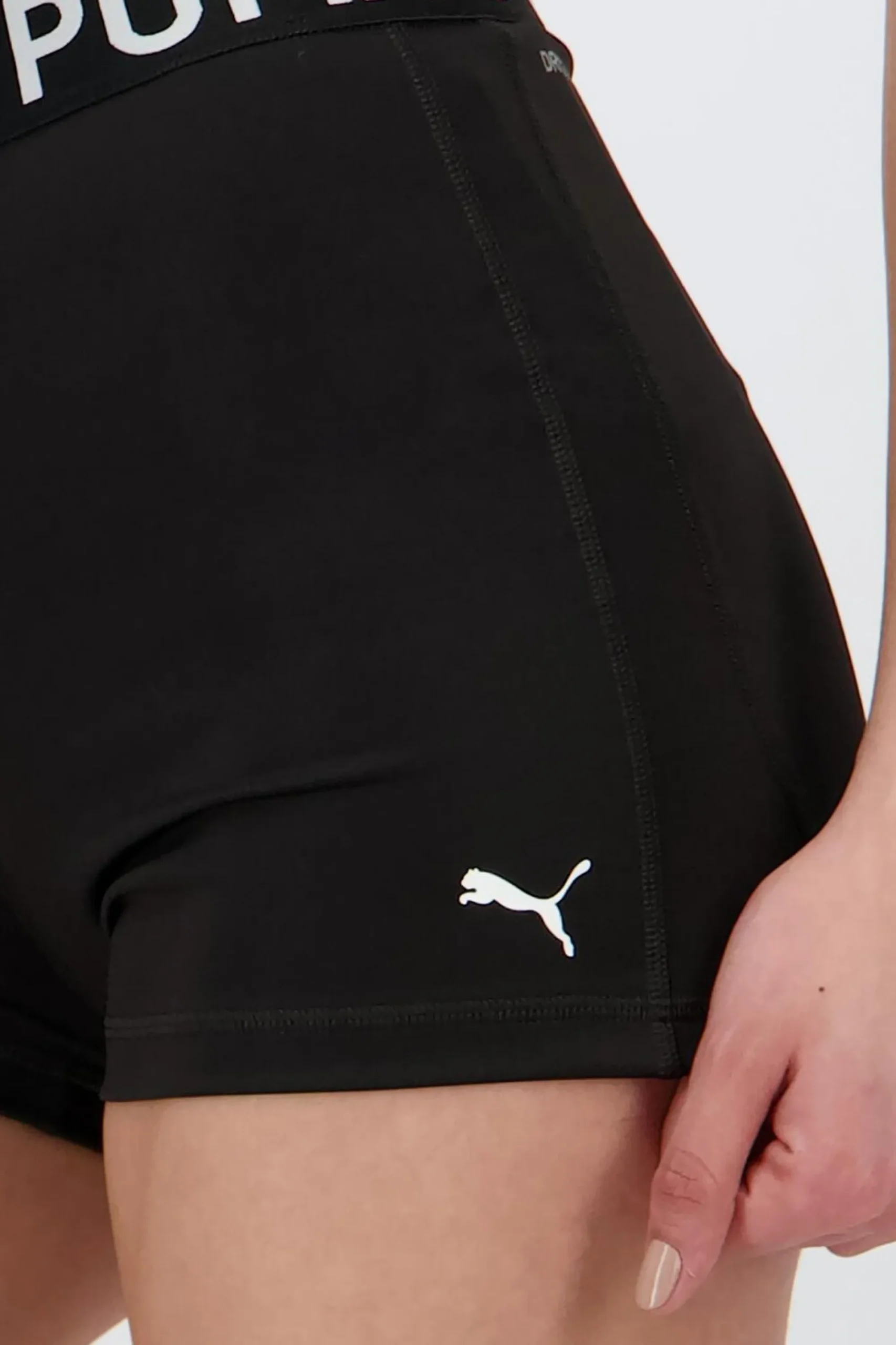 Puma egging