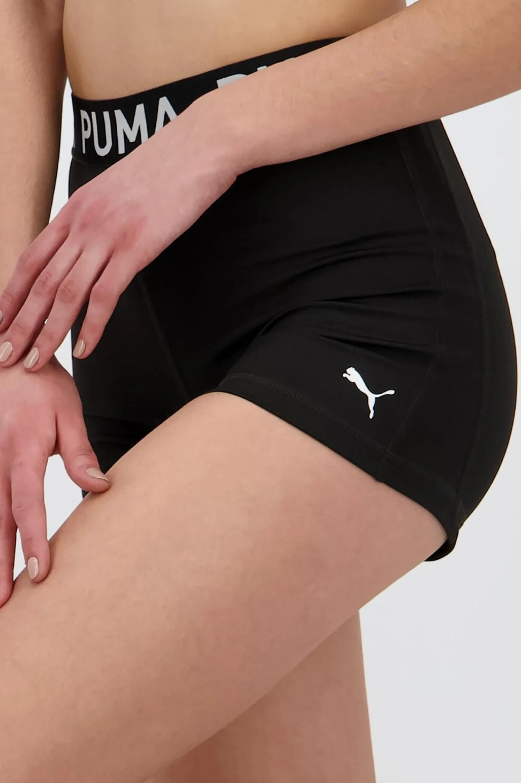 Puma egging