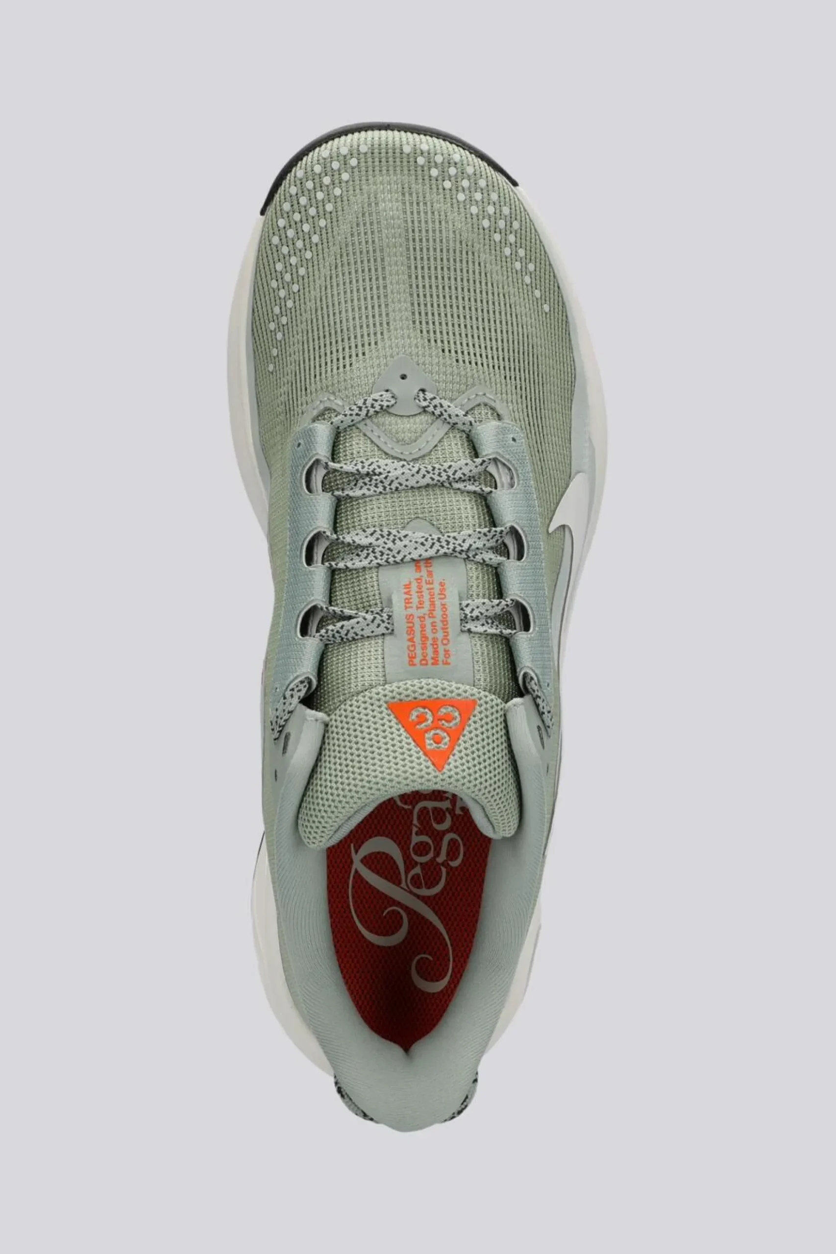 Nike Acg Pegasus Trail