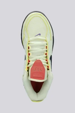 Nike Lebron