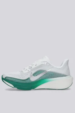 Nike Pegasus 42