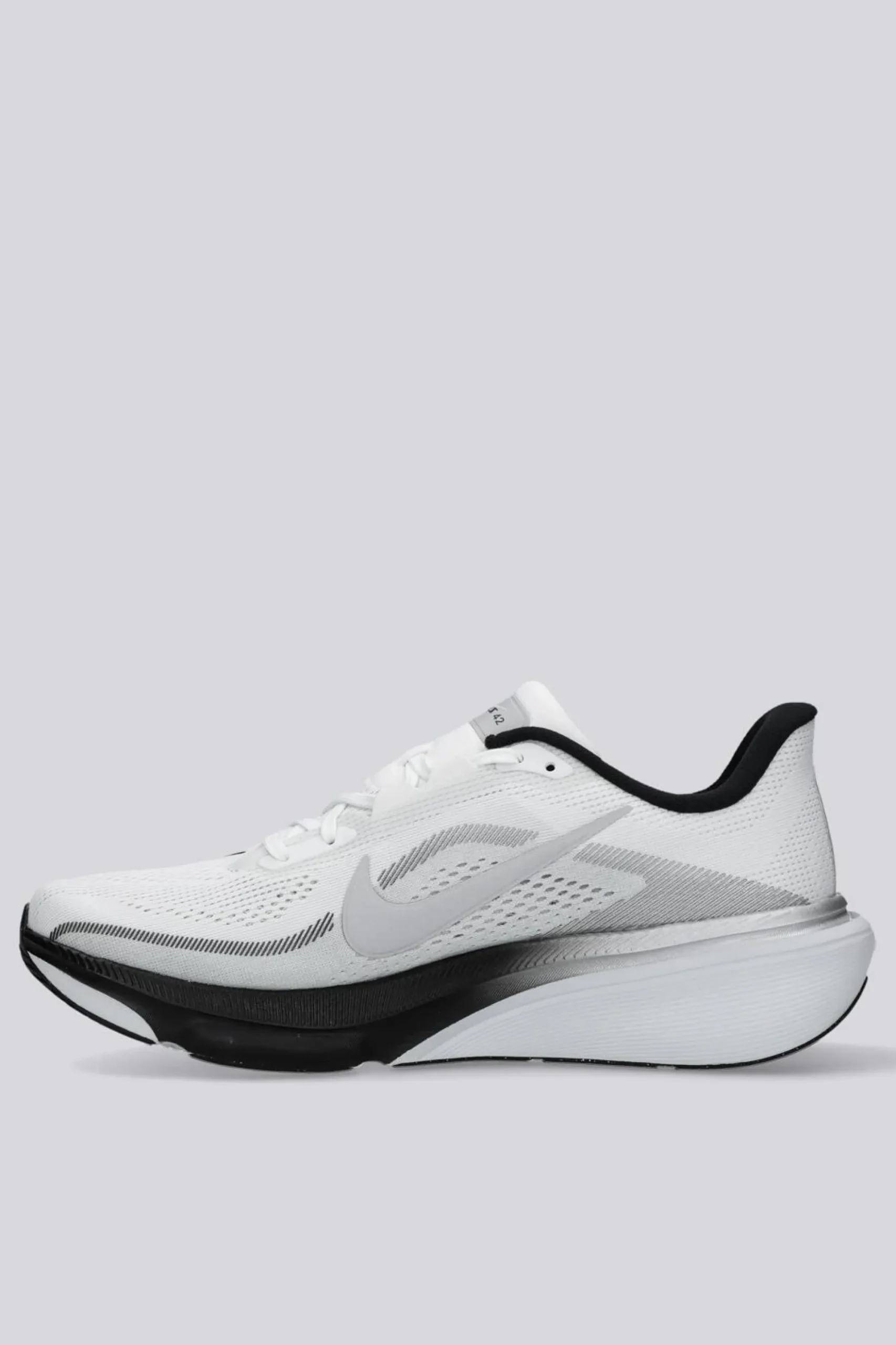 Nike Pegasus