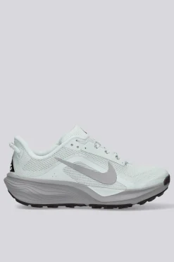 Nike Pegasus