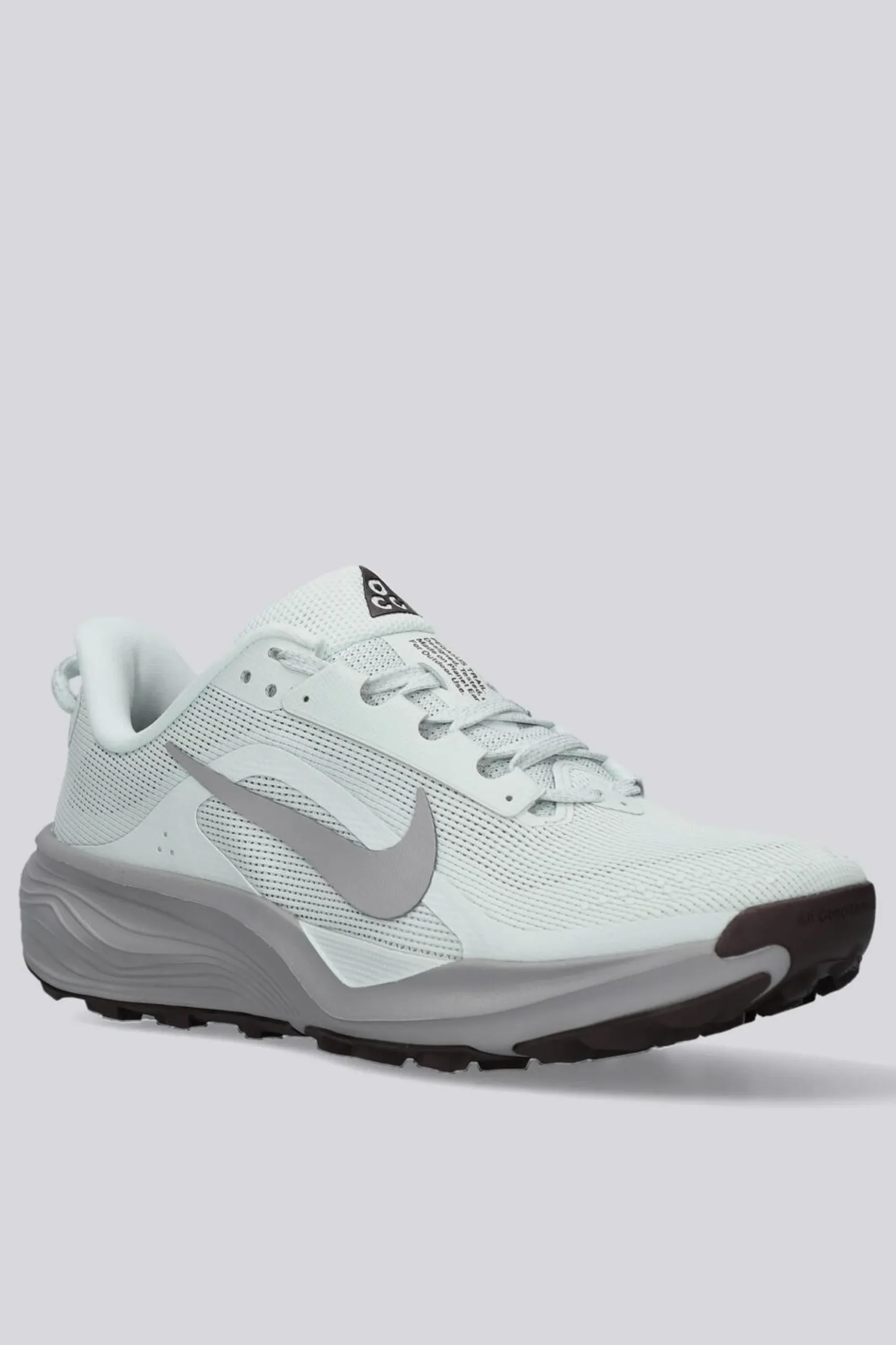 Nike Pegasus