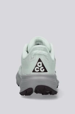 Nike Pegasus