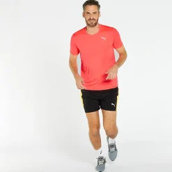 Puma Coudpun