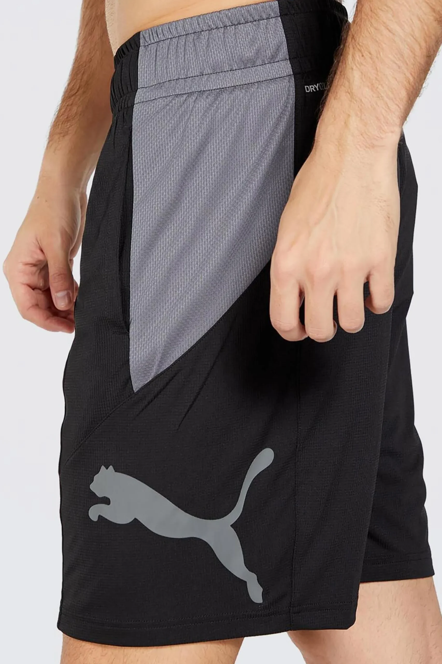 Puma Train Fav ogo