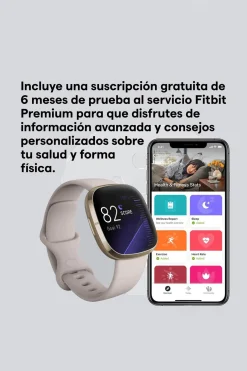Fitbit Smartwatch Sense