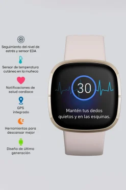 Fitbit Smartwatch Sense