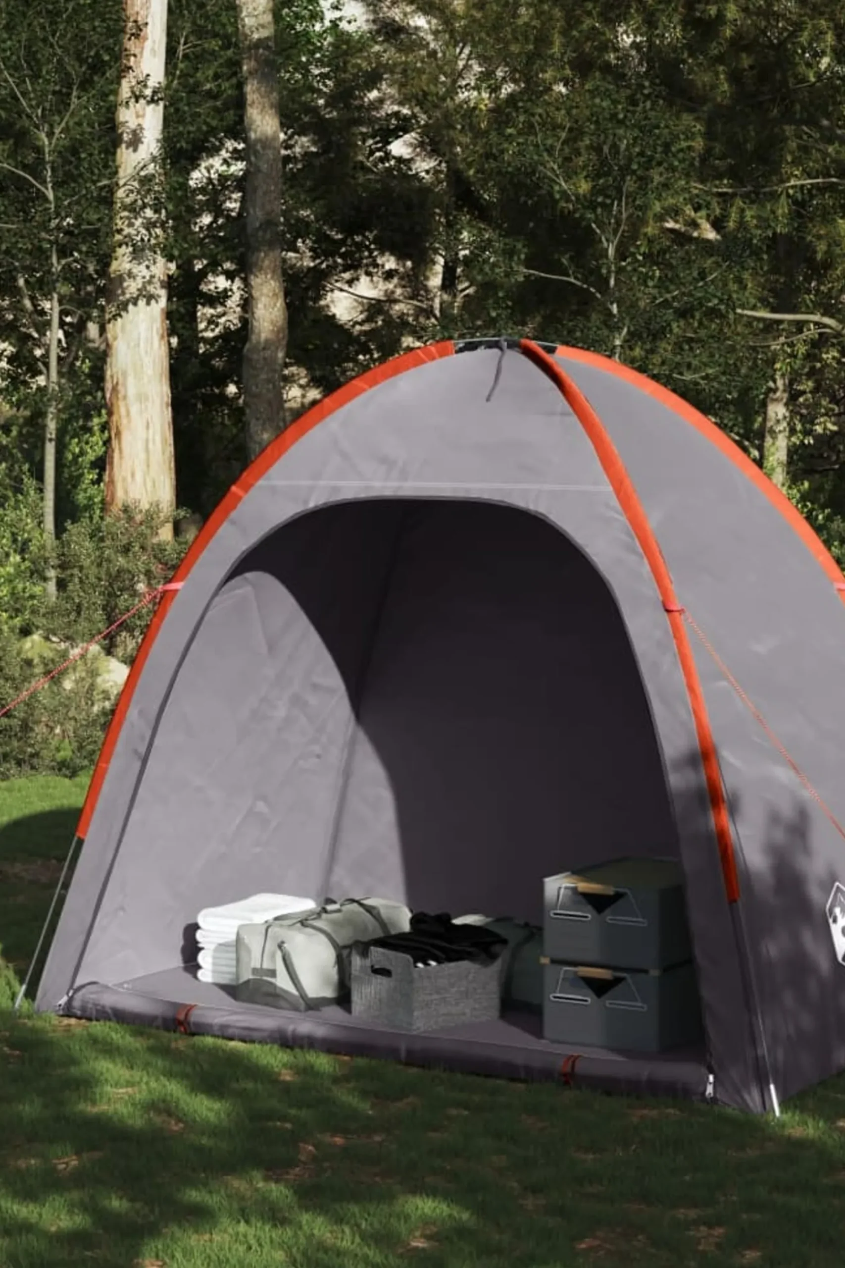 Vidaxl Tenda De Arrumação 200 X 163 X 185 CM