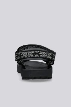 Teva Windsted