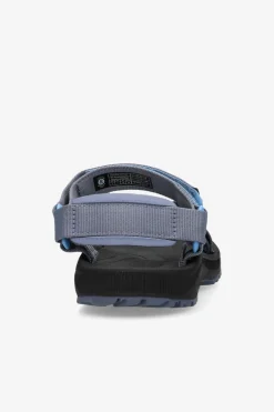 Teva Windsted